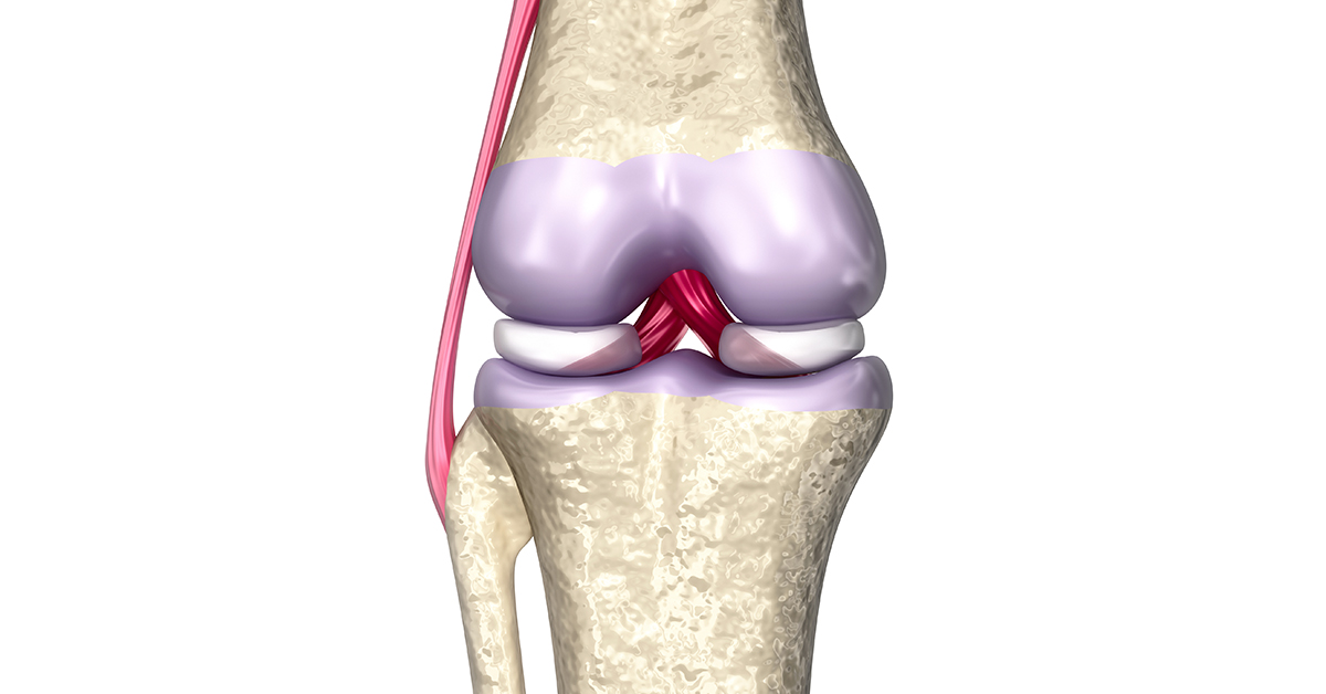 Cartilage and Tendon Repair Overview